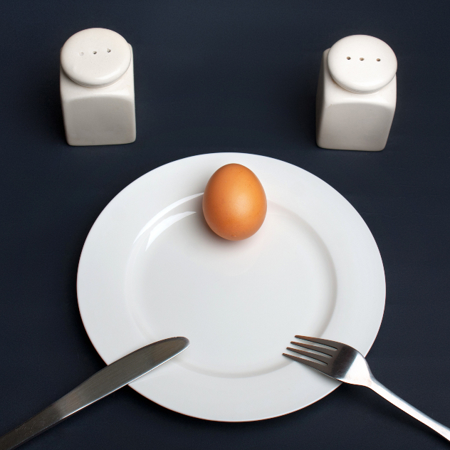 top ten foods for burning fat and losing weight